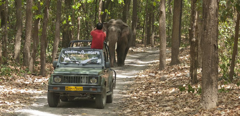 corbett-jeep-safari