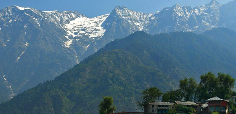 dharamshala-jeep-safari