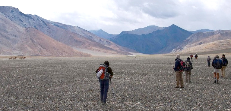 rupshu-valley-trek