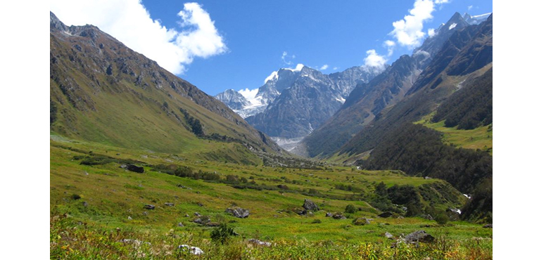 valley-of-flower