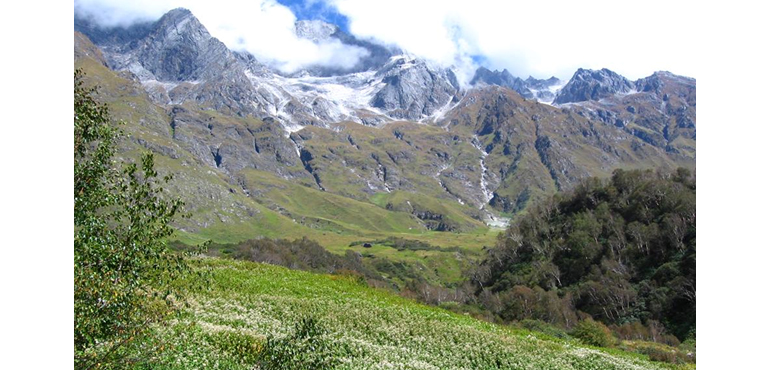 valley-of-flowers