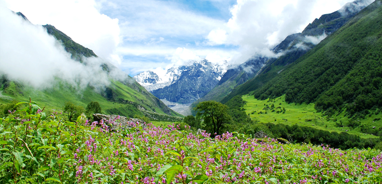 valley-of-flowers-trek