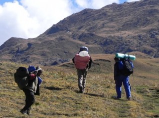 Kauri-Pass-Trek