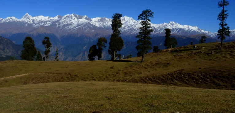 Dayara Bugyal Trek