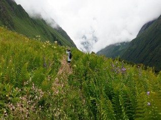 Valley of Flowers National Park