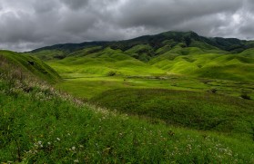 Dzukou-Valley