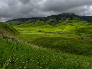 Dzukou-Valley