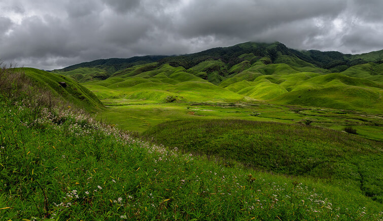 Dzukou-Valley