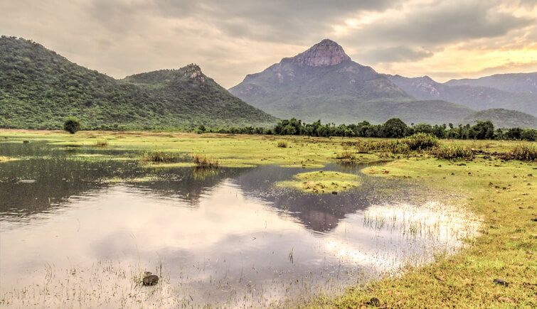 Nagalapuram-Trek