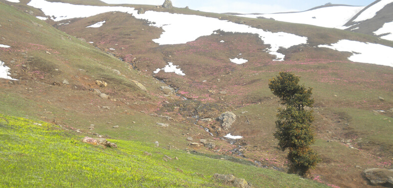 Bhrigu Lake Trekking