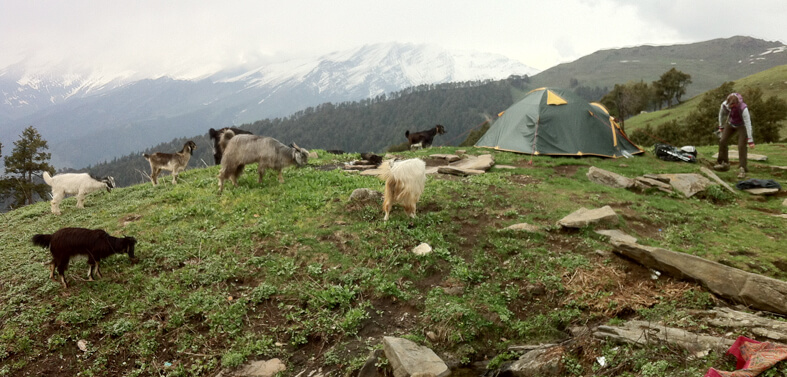 Trek to Bhrigu Lake