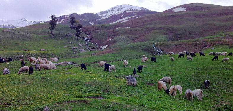 Bhrigu Lake Trekkings