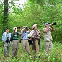 Bird Watching Treks