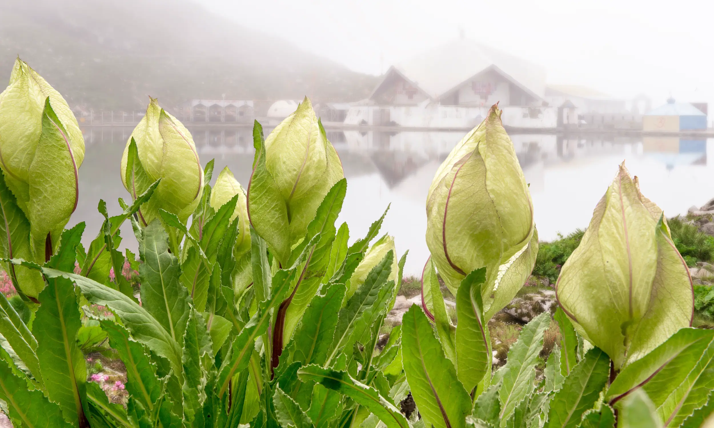 Significance of Hemkund Sahib Gurdwara
