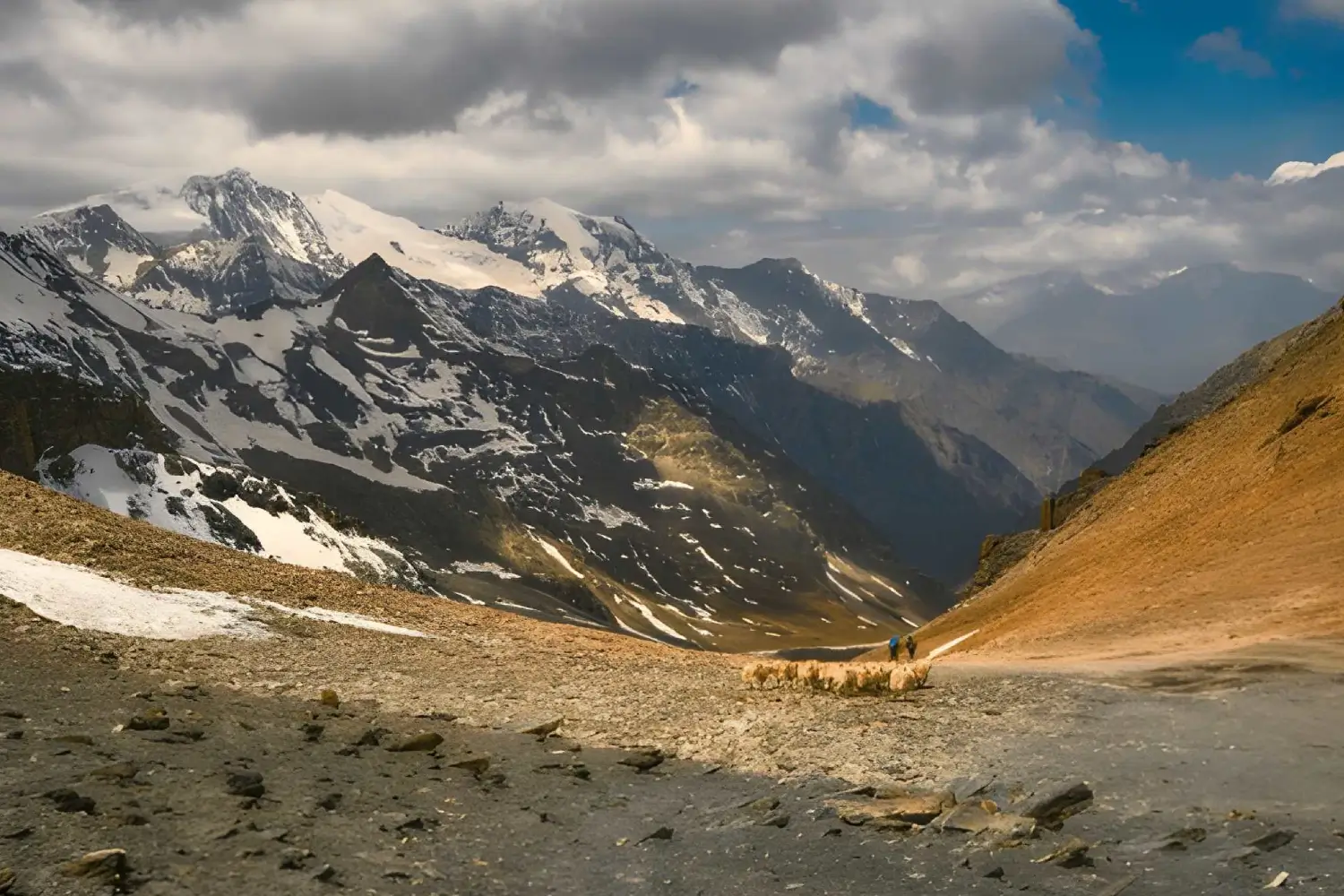 Shepherd Trail (Gaddi Trek)