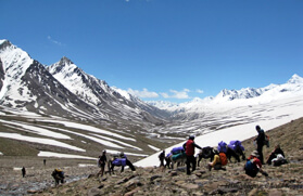 Chandratal Baralacha Trek