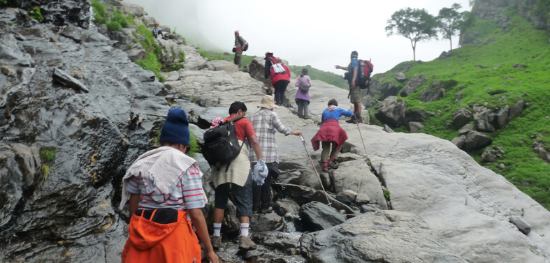 Chandratal Baralacha Treks