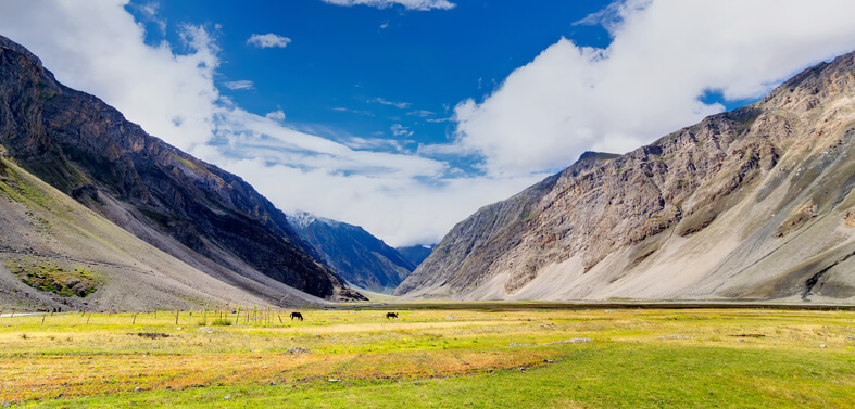 Darcha Lamayuru Trek Tour