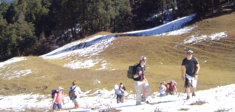 Dayara Bugyal Trek Tour