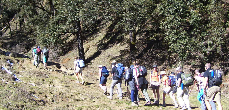 Dayara Bugyal Trekking Tours