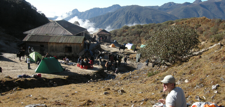 Dzongri Trekking Tour