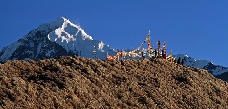 Singalila Ridge Treks