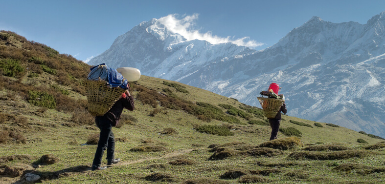 Dzongri Trekking Trips