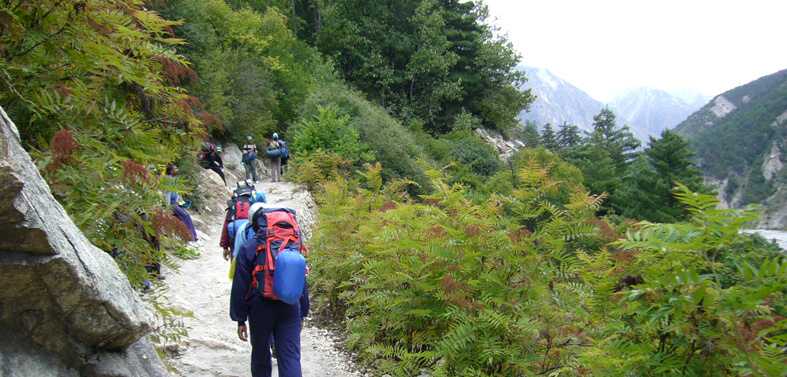 Gangotri Goumukh Tapovan Trekking