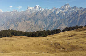 Auli Gorson Bugyal Trek