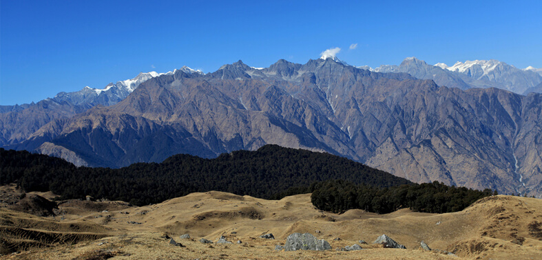 Auli Gorson Bugyal Trek