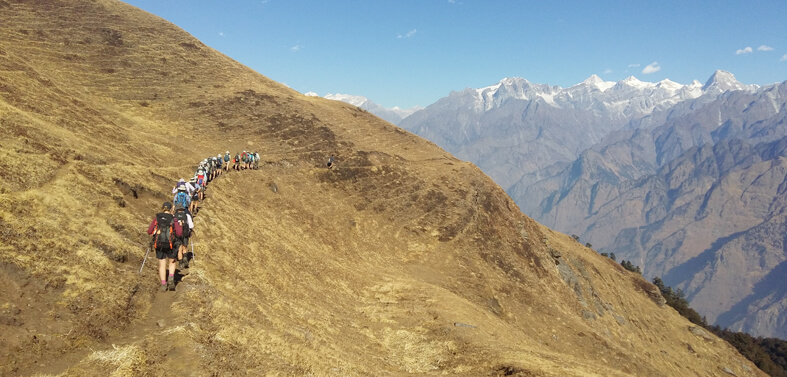 Auli Gorson Bugyal Trek Tour