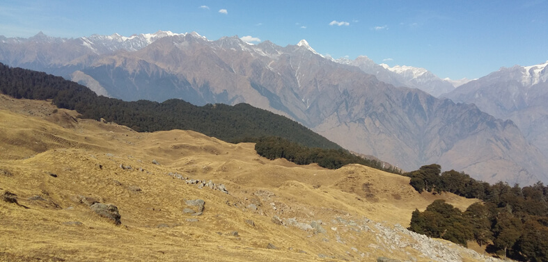 Auli Gorson Bugyal Trekking