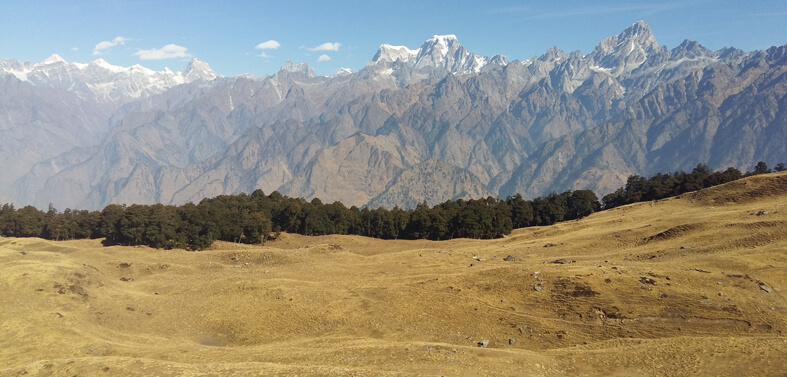 Auli Gorson Bugyal Treks