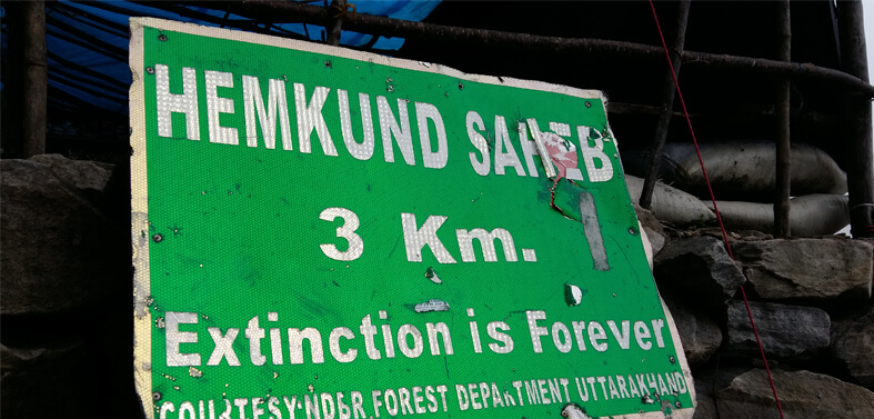 Hemkund Trek Tour