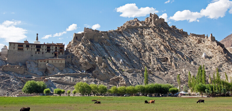 Indus Valley Trek