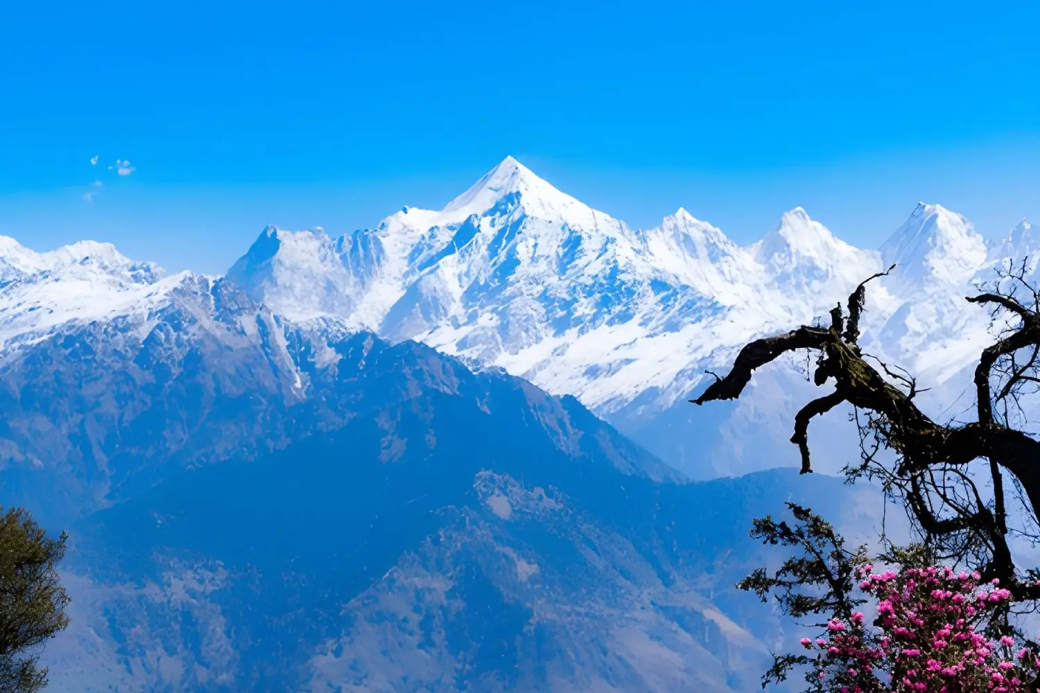 Jeep Safari in Kumaon