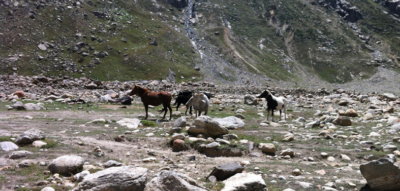 Southern Zanskar Trek