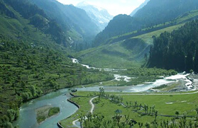 Kolahoi Base Camp Trek