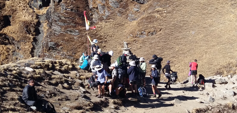 Kuari Pass - Nanda Devi Sanctuary Trekking Tour