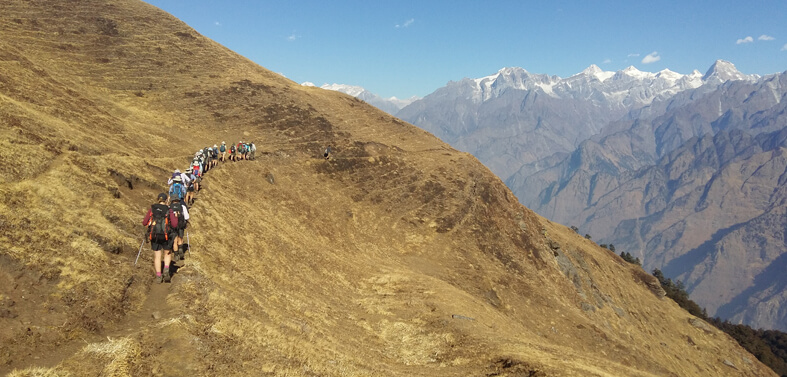 Kuari Pass Tapovan Trek