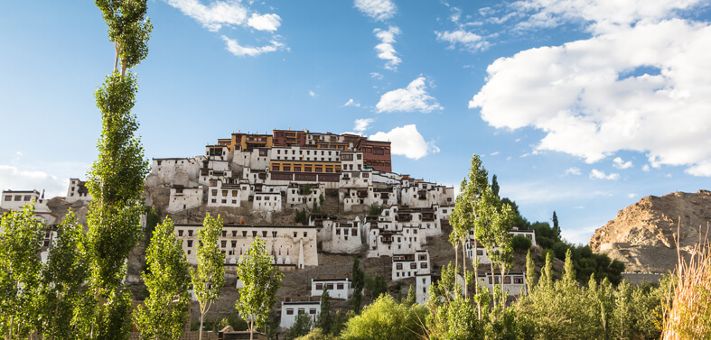 Ladakh Monastery Trek