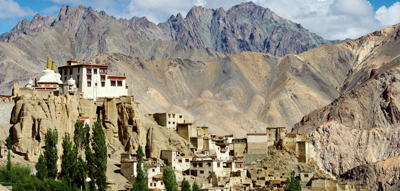 Ladakh Monastery Trek Tour