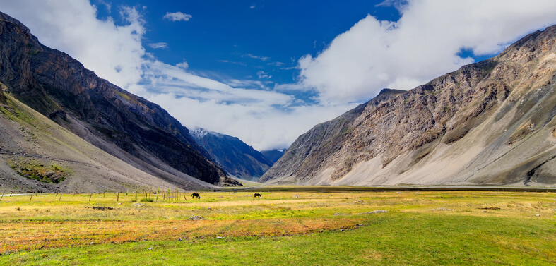 Ladakh - Srinagar Jeep Safari