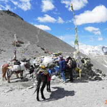 Lamayuru Alchi Trek