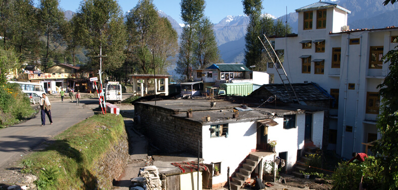 Munsiyari Milam Glacier Trek