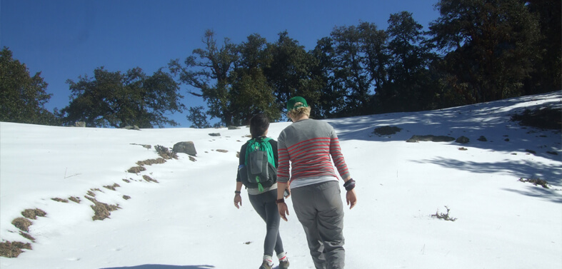 Mussoorie Nag Tibba Trekking Tour