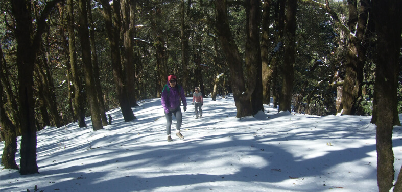 Mussoorie Nag Tibba Trek Route