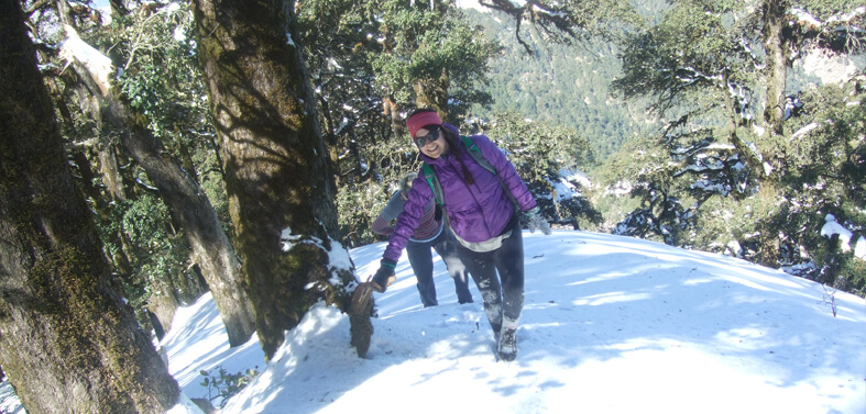 Mussoorie Nag Tibba Trekkings