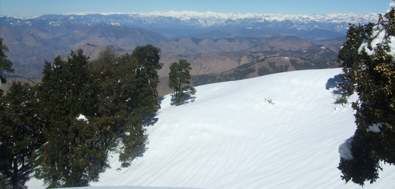 Mussoorie Nag Tibba Trekking Tours