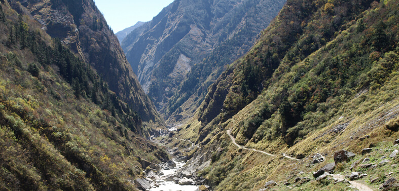 Nandadevi East Base Camp Trekking Tours